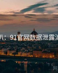 独家深扒：91官网数据泄露流量密码