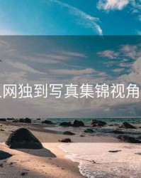 秀人网独到写真集锦视角独到