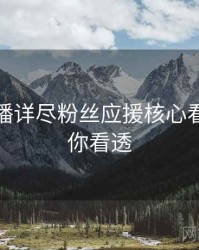 杏吧直播详尽粉丝应援核心看点，带你看透