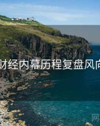 91网财经内幕历程复盘风向研判
