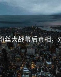 91官网粉丝大战幕后真相，欢迎围观