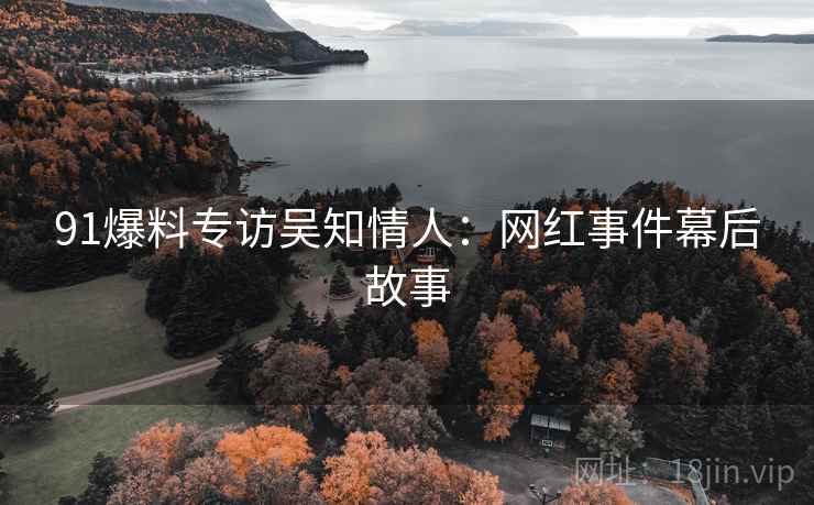 91爆料专访吴知情人：网红事件幕后故事