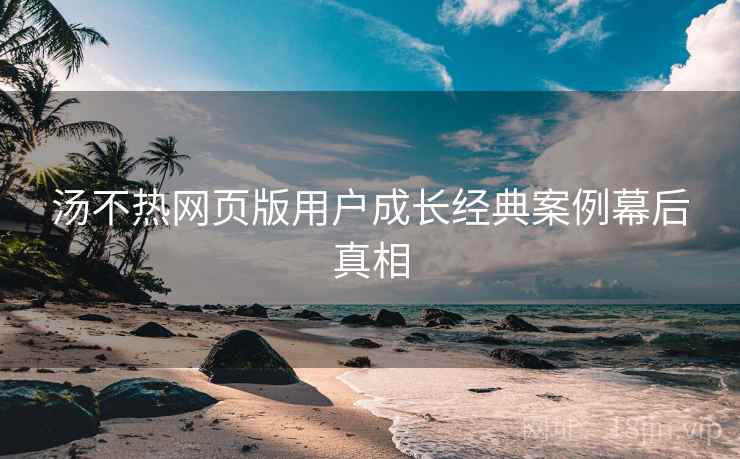 汤不热网页版用户成长经典案例幕后真相