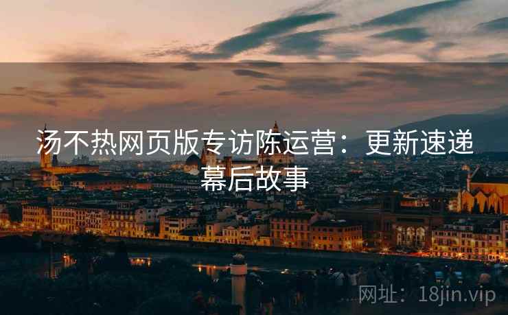 汤不热网页版专访陈运营：更新速递幕后故事