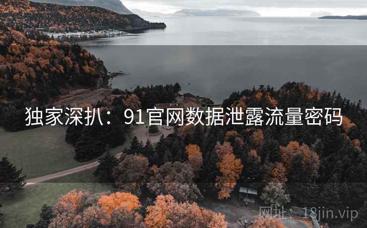 独家深扒：91官网数据泄露流量密码