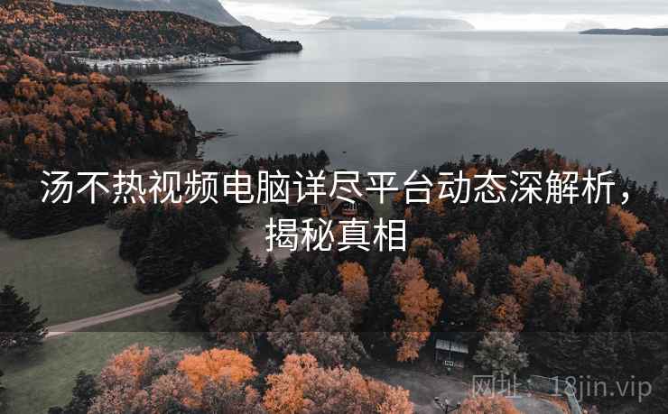 汤不热视频电脑详尽平台动态深解析，揭秘真相
