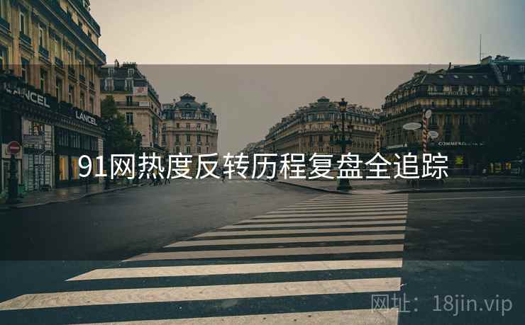 91网热度反转历程复盘全追踪