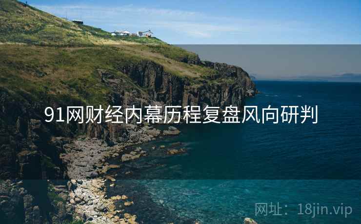 91网财经内幕历程复盘风向研判