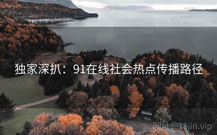 独家深扒：91在线社会热点传播路径